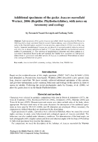 Reptilia: Phyllodactylidae), with Notes on Taxonomy and Ecology