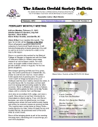 02 Atlos Newsletter