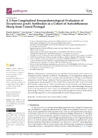 A 2-Year Longitudinal Seroepidemiological Evaluation of Toxoplasma Gondii Antibodies in a Cohort of Autochthonous Sheep from Central Portugal