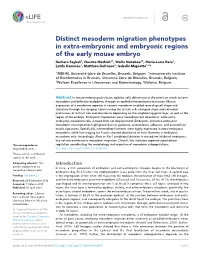 Distinct Mesoderm Migration Phenotypes in Extra-Embryonic And