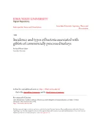 Incidence and Types of Bacteria Associated with Giblets of Commercially Processed Turkeys Richard Harry Salzer Iowa State University