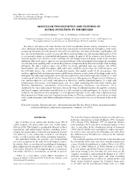 Molecular Phylogenetics and Patterns of Floral Evolution in the Ericales