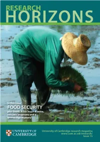 Research Horizons Issue 15