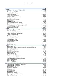 SCP Payments 2016
