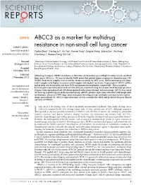 ABCC3 As a Marker for Multidrug Resistance in Non-Small Cell Lung