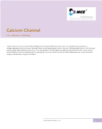 Calcium Channel Ca2+ Channels; Ca Channels