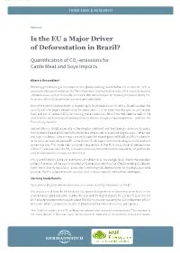 Is the EU a Major Driver of Deforestation in Brazil?