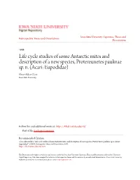 Life Cycle Studies of Some Antarctic Mites and Description of a New Species, Protereunetes Paulinae Sp