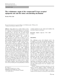 The Evolutionary Origin of the Vasopressin/V2-Type Receptor/ Aquaporin Axis and the Urine-Concentrating Mechanism