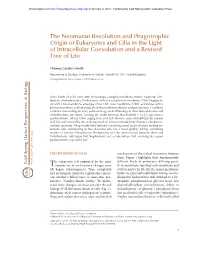 The Neomuran Revolution and Phagotrophic Origin of Eukaryotes and Cilia in the Light of Intracellular Coevolution and a Revised Tree of Life