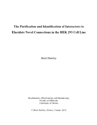 The Purification and Identification of Interactors to Elucidate Novel Connections in the HEK 293 Cell Line