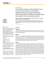 Craniometric Analysis of the Hindbrain and Craniocervical Junction Of