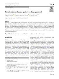 Download from Genbank, and the Outgroup Monilochaetes Infuscans CBS 379.77 and CBS , RNA Polymerase II Second Largest Subunit