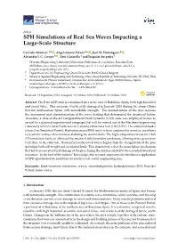 SPH Simulations of Real Sea Waves Impacting a Large-Scale Structure