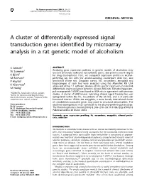 A Cluster of Differentially Expressed Signal Transduction Genes Identified by Microarray Analysis in a Rat Genetic Model of Alcoholism