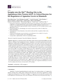 Insights Into the Mn Binding Site in the Agmatinase-Like Protein (ALP): A