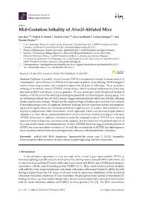 Mid-Gestation Lethality of Atxn2l-Ablated Mice