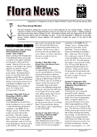 24 Spring 2003