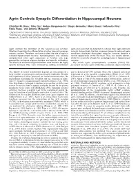 Agrin Controls Synaptic Differentiation in Hippocampal Neurons