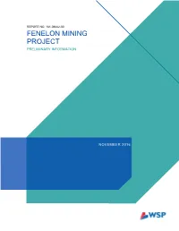 Fenelon Mining Project Preliminary Information
