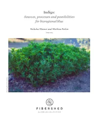 Indigo: Sources, Processes and Possibilities for Bioregional Blue