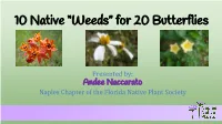 10 Native Weeds for 20 Butterflies