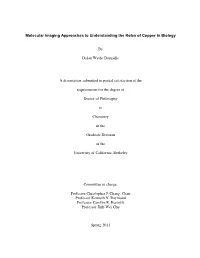 Full Dissertation Grad Division2