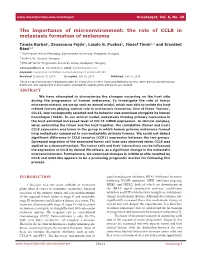 The Importance of Microenvironment: the Role of CCL8 in Metastasis Formation of Melanoma