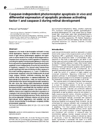 Caspase-Independent Photoreceptor Apoptosis in Vivo and Differential Expression of Apoptotic Protease Activating Factor-1 and Caspase-3 During Retinal Development