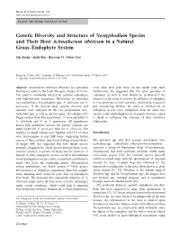 Genetic Diversity and Structure of Neotyphodium Species and Their Host Achnatherum Sibiricum in a Natural Grass–Endophyte System