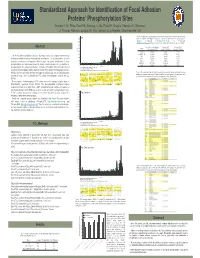 Phosphoprotein Analysis