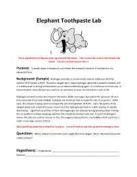 Elephant Toothpaste Lab
