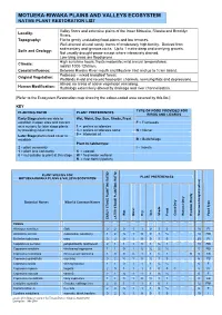 Motueka Plains and Valleys Plant Lists