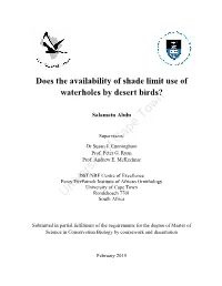 Does the Availibility of Shade Limit Use of Waterholes by Desert Birds?