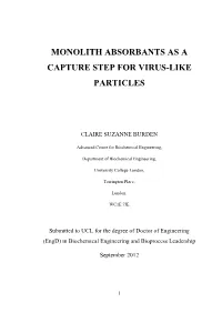 Monolith Absorbants As a Capture Step for Virus-Like