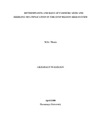 Determinants and Role of Farmers' Seed and Seedling