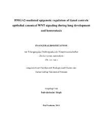 HMGA2-Mediated Epigenetic Regulation of Gata6 Controls Epithelial Canonical WNT Signaling During Lung Development and Homeostasis