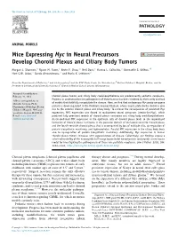 Mice Expressing Myc in Neural Precursors Develop Choroid Plexus and Ciliary Body Tumors