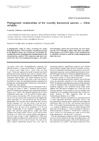 Phylogenetic Relationships of the Recently Discovered Species — Clivia Mirabilis
