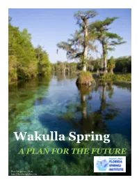 Wakulla Spring a PLAN for the FUTURE