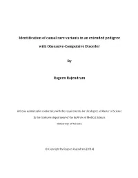 Identification of Causal Rare Variants in an Extended Pedigree With