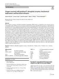 Oxygen Reactivity with Pyridoxal 5′-Phosphate Enzymes: Biochemical Implications And… 1091