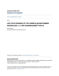 Life Cycle Dynamics of the Harmful Bloom Forming Macroalgae Ulva Spp