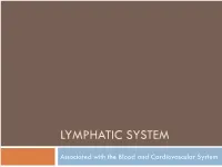 Lymphatic System