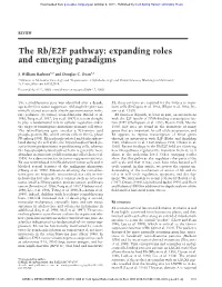The Rb/E2F Pathway: Expanding Roles and Emerging Paradigms