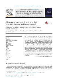 Adiponectin Receptors: a Review of Their Structure, Function and How They Work