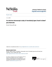 An Electron Microscopic Study of Microbody Types Found in Dwarf Pea Internode