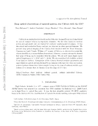 Deep Optical Observations of Unusual Neutron Star Calvera with The