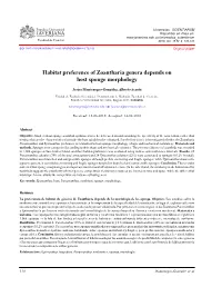 Habitat Preference of Zoantharia Genera Depends on Host Sponge Morphology