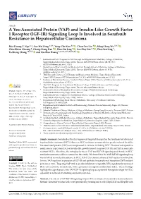 IGF-1R) Signaling Loop Is Involved in Sorafenib Resistance in Hepatocellular Carcinoma